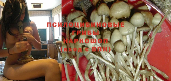 скорость Саяногорск