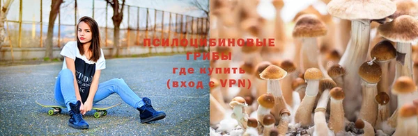 прущая мука Абаза