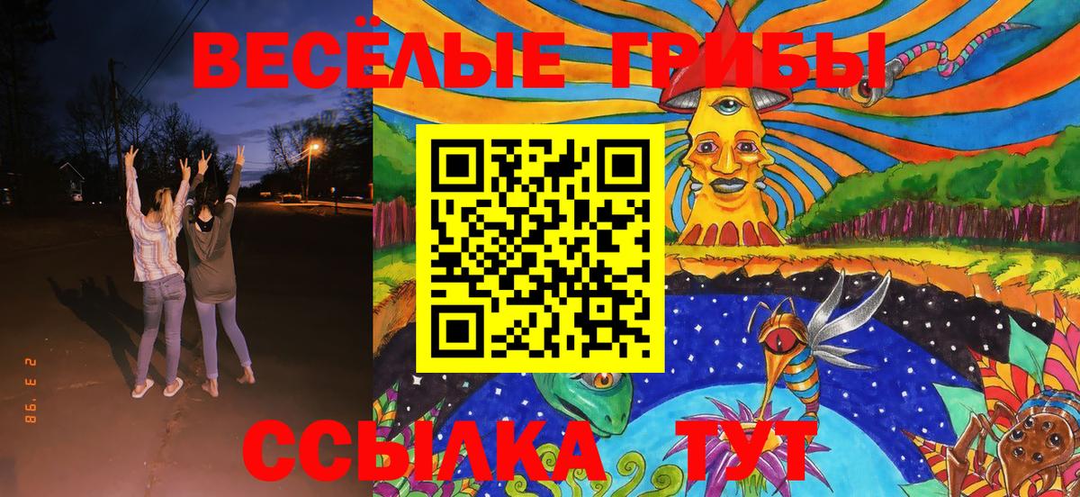 Нягань  где можно купить   Вход с VPN  Галлюциногенные грибы GOLDEN TEACHER 